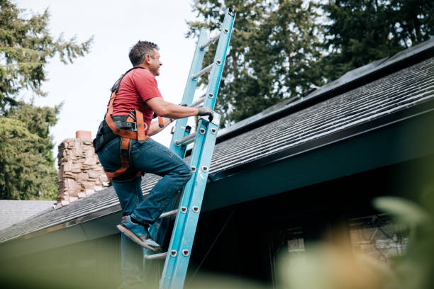 Best Roof Moss and Algae Removal  in Godley, TX